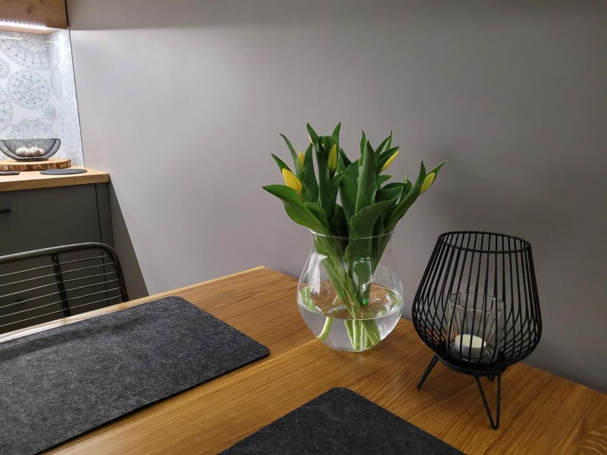 Apartament Wislanskie Skije Экстерьер фото