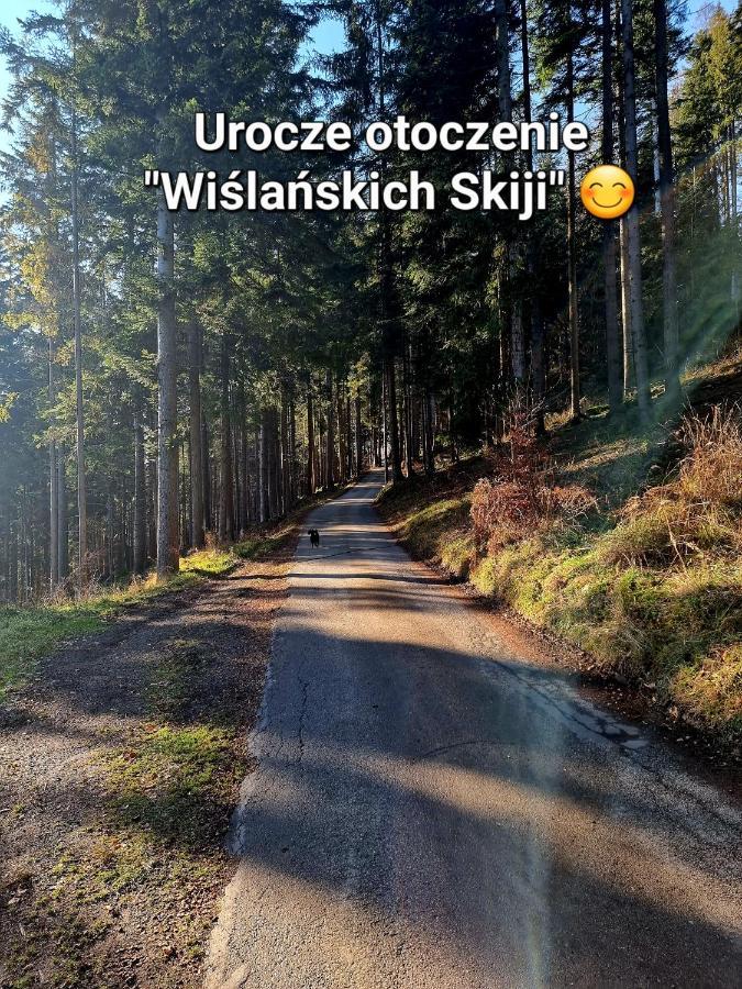 Apartament Wislanskie Skije Экстерьер фото